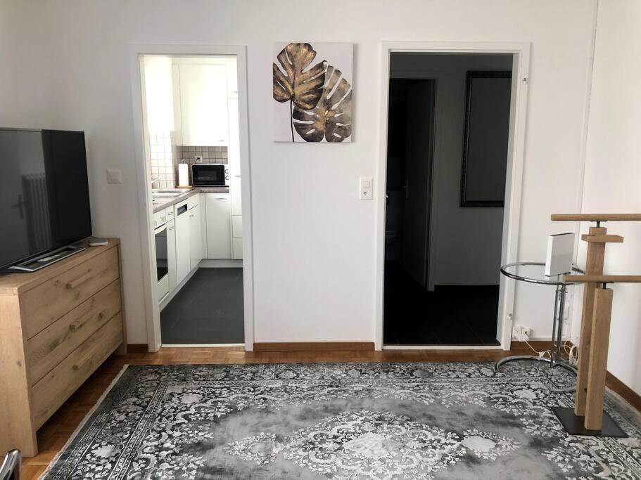 Apartamento Bright And Quiet In The Center - Sky1 Zúrich
